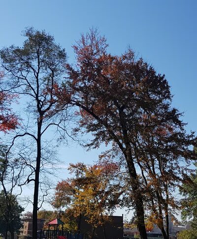 Long Branch-Arliss Neighborhood Park - Silver Spring, MD