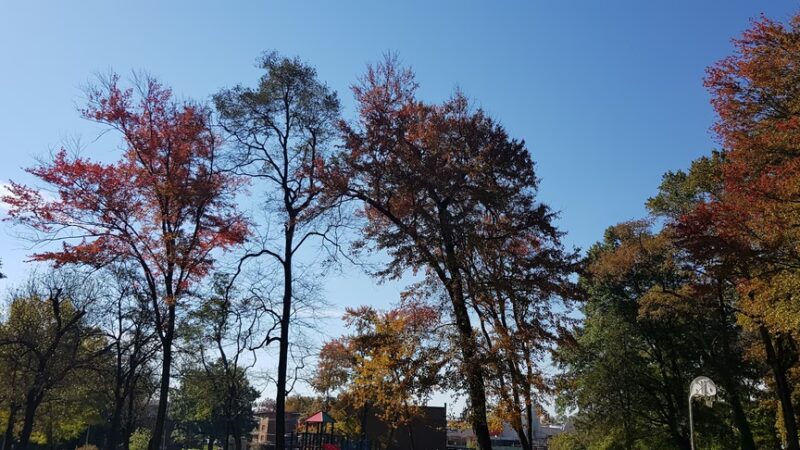 Long Branch-Arliss Neighborhood Park - Silver Spring, MD