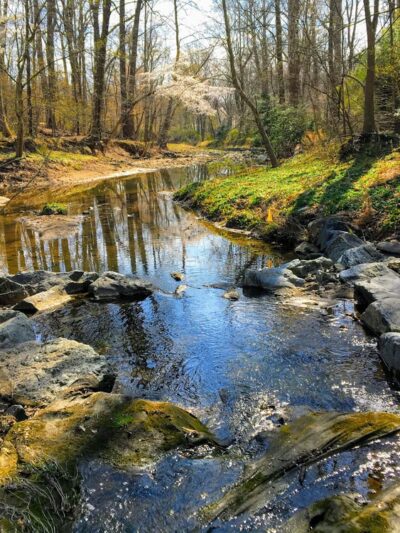 Matthew Henson Trail Park and Parking Area - Silver Spring, MD