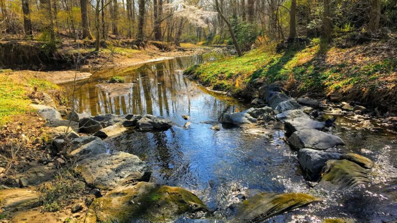 Matthew Henson Trail Park and Parking Area - Silver Spring, MD