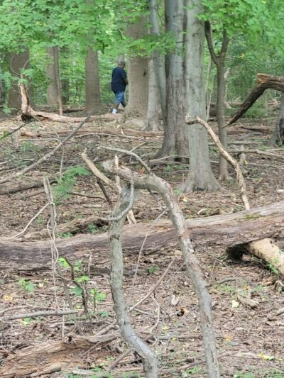 Matthew Henson Trail Park and Parking Area - Silver Spring, MD