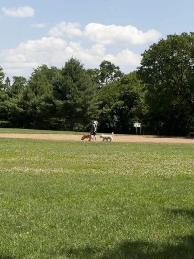 Nolte Local Park - Silver Spring, MD