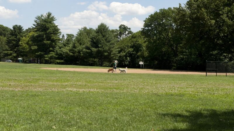 Nolte Local Park - Silver Spring, MD