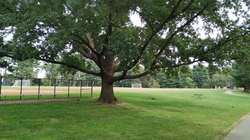 Nolte Local Park - Silver Spring, MD