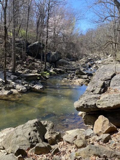 Northwest Branch Trail Access - Silver Spring, MD
