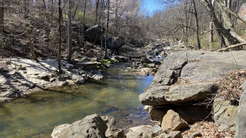 Northwest Branch Trail Access - Silver Spring, MD