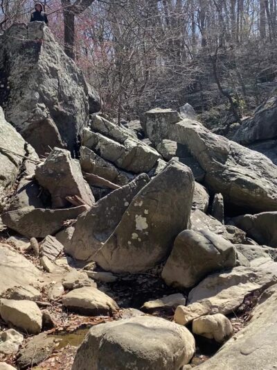 Northwest Branch Trail Access - Silver Spring, MD