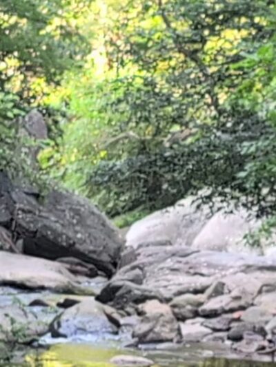 Northwest Branch Trail Access - Silver Spring, MD