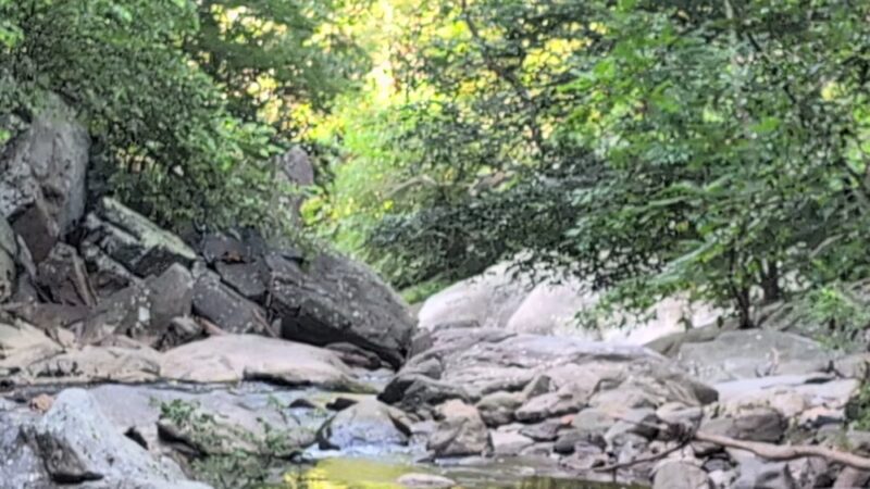 Northwest Branch Trail Access - Silver Spring, MD