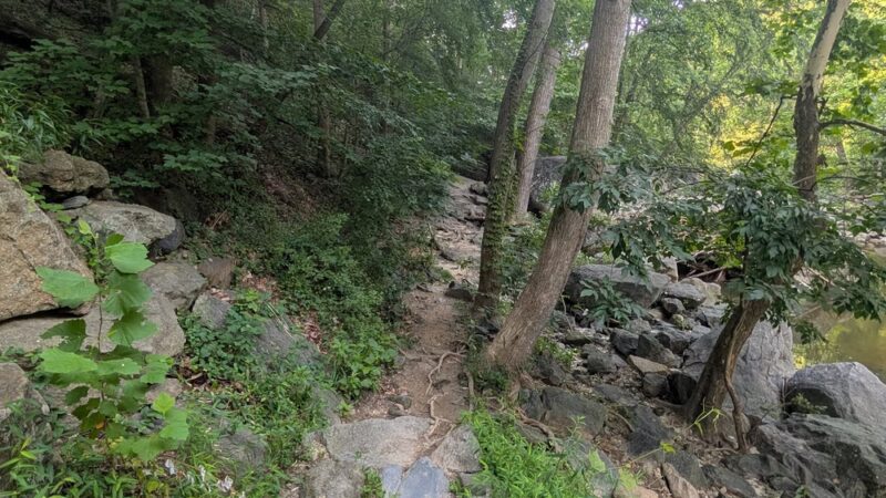 Northwest Branch Trail Access - Silver Spring, MD