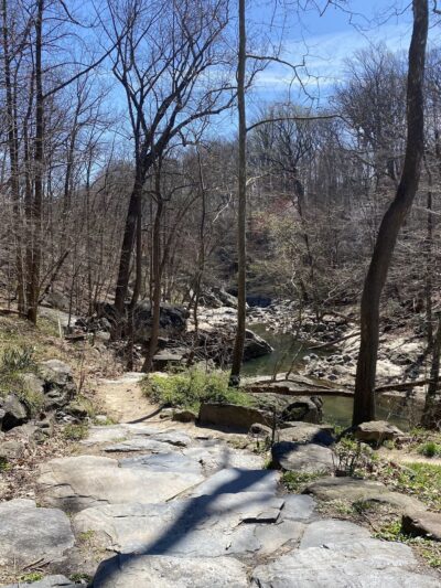Northwest Branch Trail Access - Silver Spring, MD