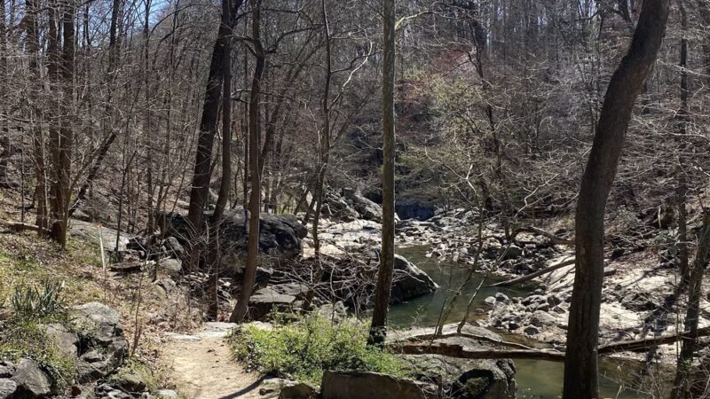 Northwest Branch Trail Access - Silver Spring, MD