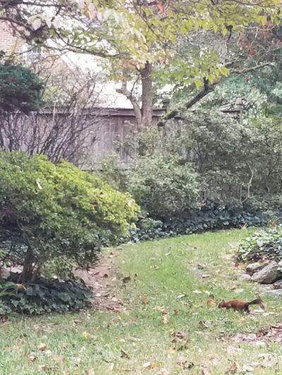 Seven Oaks Neighborhood Park - Silver Spring, MD