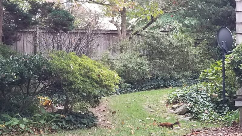 Seven Oaks Neighborhood Park - Silver Spring, MD