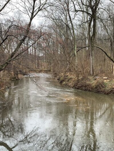 Winding Creek Local Park - Silver Spring, MD