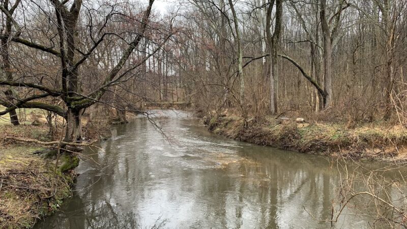 Winding Creek Local Park - Silver Spring, MD