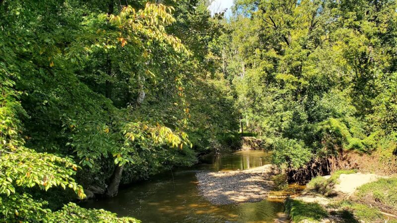 Winding Creek Local Park - Silver Spring, MD