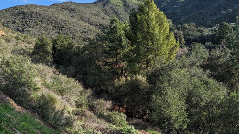Modjeska Community Park - Silverado, CA