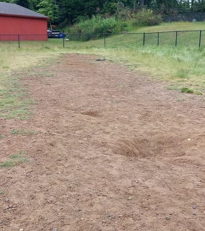 Dog park - Silverdale, WA