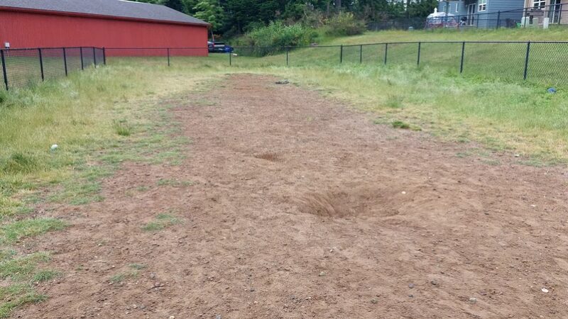 Dog park - Silverdale, WA