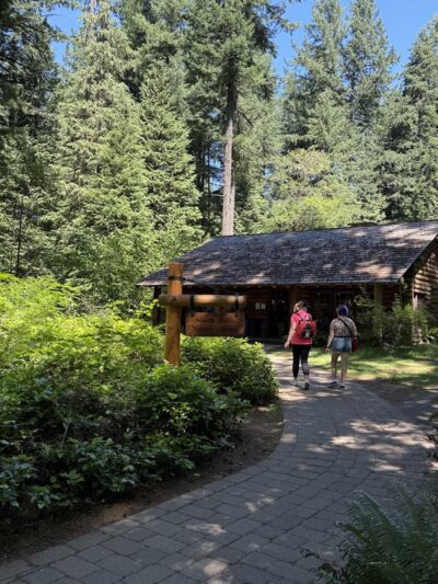 Pet Exercise Area - Silver Falls SP - South Falls Day Use Area - Silverton, OR