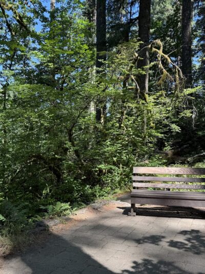 Pet Exercise Area - Silver Falls SP - South Falls Day Use Area - Silverton, OR