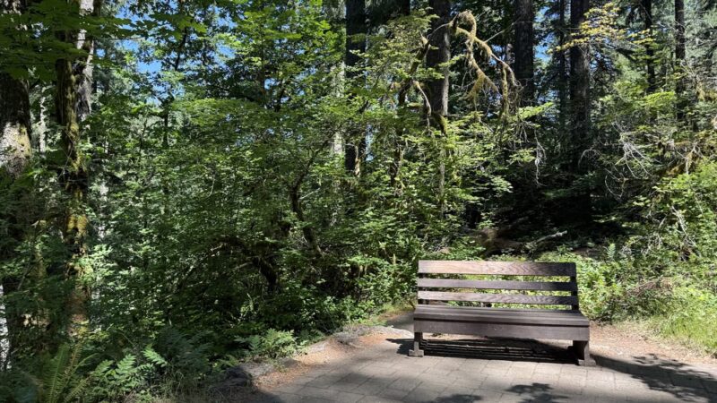 Pet Exercise Area - Silver Falls SP - South Falls Day Use Area - Silverton, OR