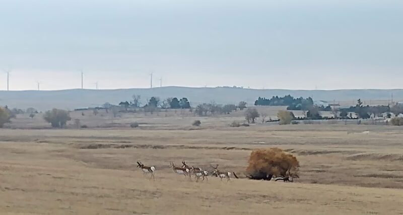 Simla - Simla, CO