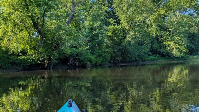 Curtiss Park - Simsbury, CT