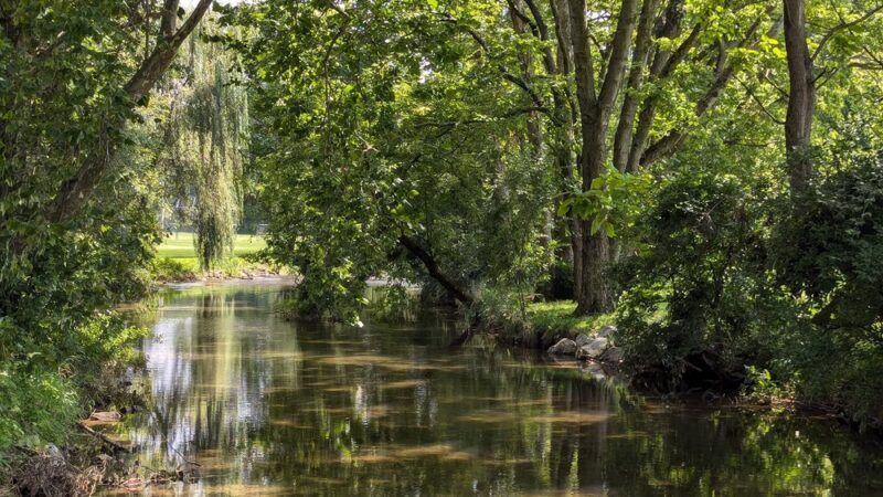 Cacoosing Meadows Park - Sinking Spring, PA