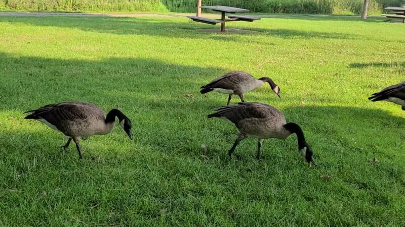 Bacon Creek Park - Sioux City, IA