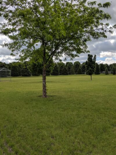 Lacey Park - Sioux Falls, SD