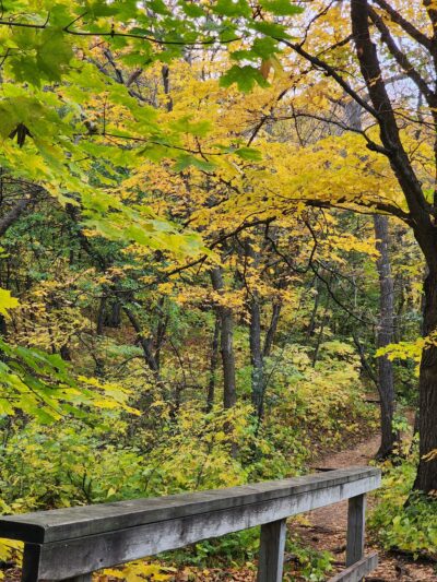 Sica Hollow State Park - Sisseton, SD