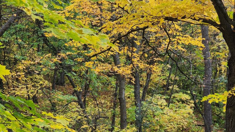 Sica Hollow State Park - Sisseton, SD
