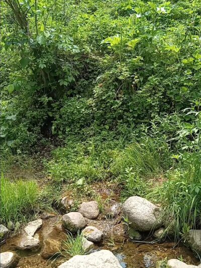 Sica Hollow State Park - Sisseton, SD