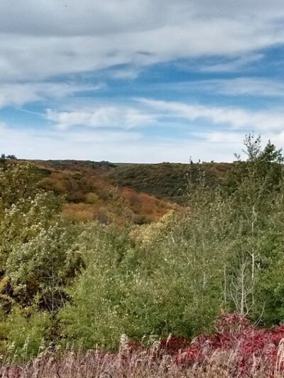 Sica Hollow State Park - Sisseton, SD