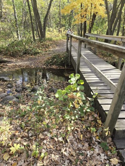 Sica Hollow State Park - Sisseton, SD