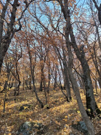Sica Hollow State Park - Sisseton, SD