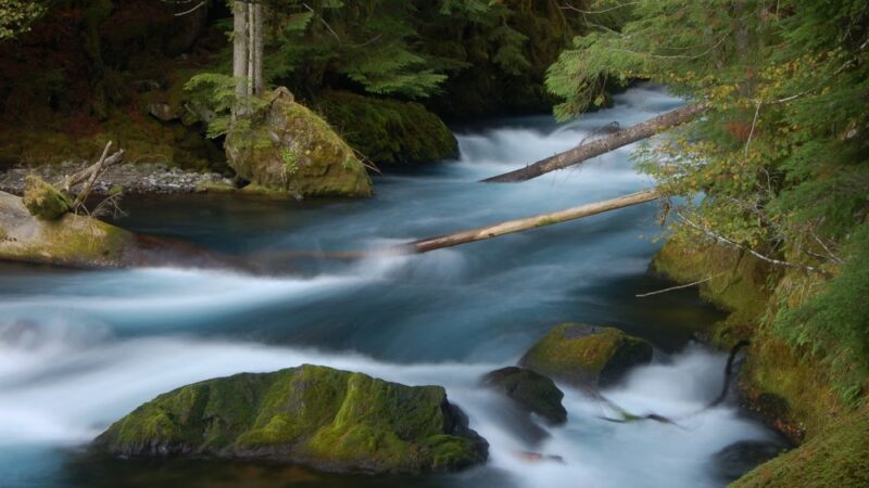 Waterfalls Loop Trailhead - Sisters, OR