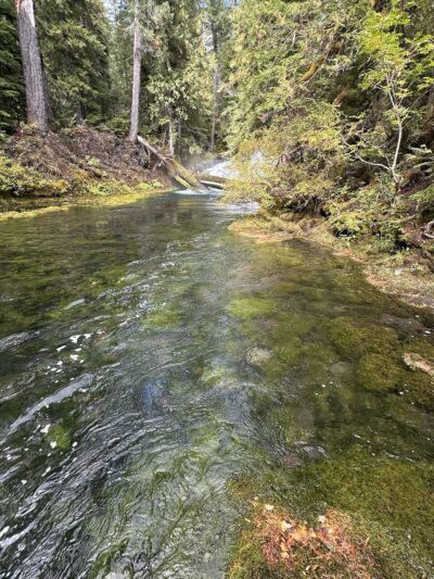 Waterfalls Loop Trailhead - Sisters, OR