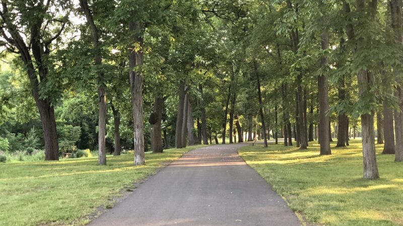 Skillman Park - Skillman, NJ