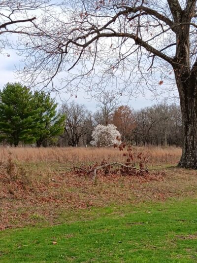 Skillman Park - Skillman, NJ