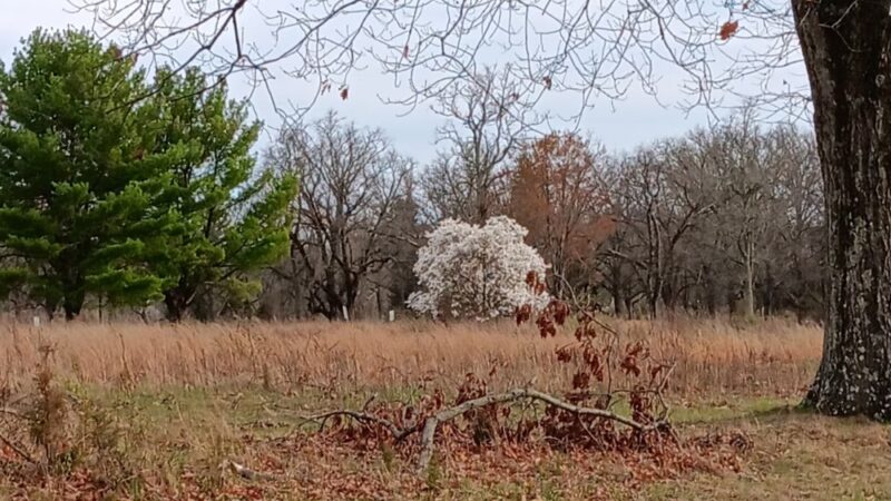 Skillman Park - Skillman, NJ