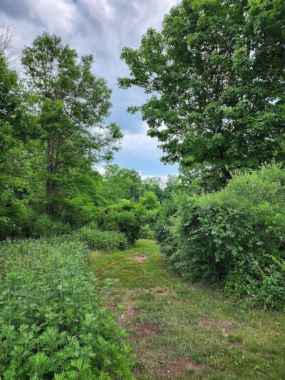 Skillman Park - Skillman, NJ