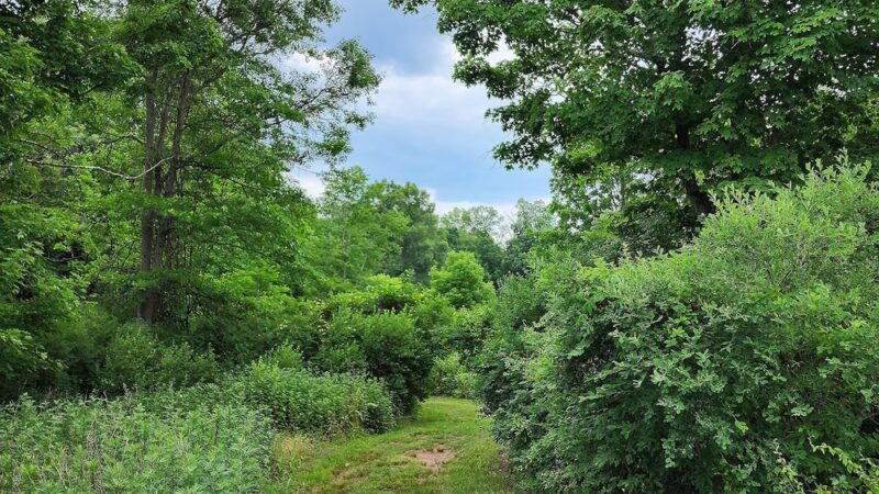 Skillman Park - Skillman, NJ