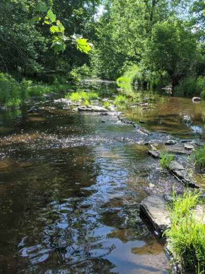 Skillman Park - Skillman, NJ