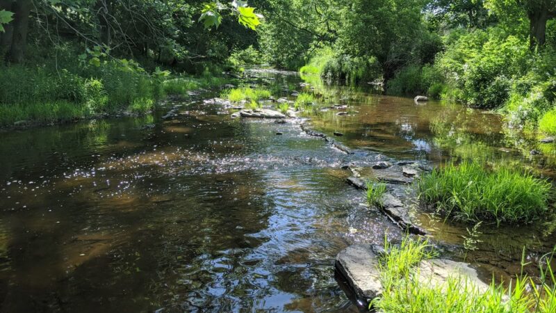 Skillman Park - Skillman, NJ
