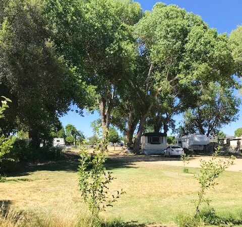 Skull Valley Park - Skull Valley, AZ