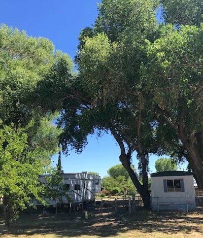 Skull Valley Park - Skull Valley, AZ