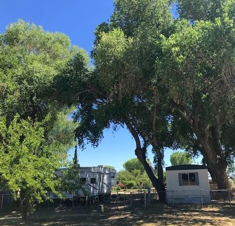 Skull Valley Park - Skull Valley, AZ
